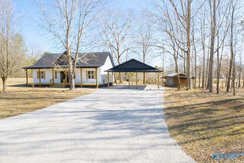 Photo of 292 County Road 497, Flat Rock, AL 35966 (MLS # 21910465)