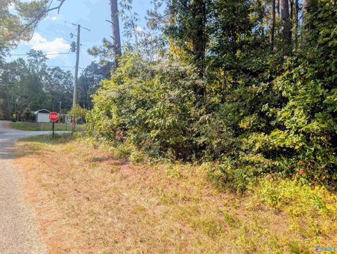 Vacant Land For Sale - LOT 1 County Road 249<br/> Cherokee County, Leesburg, AL 35983