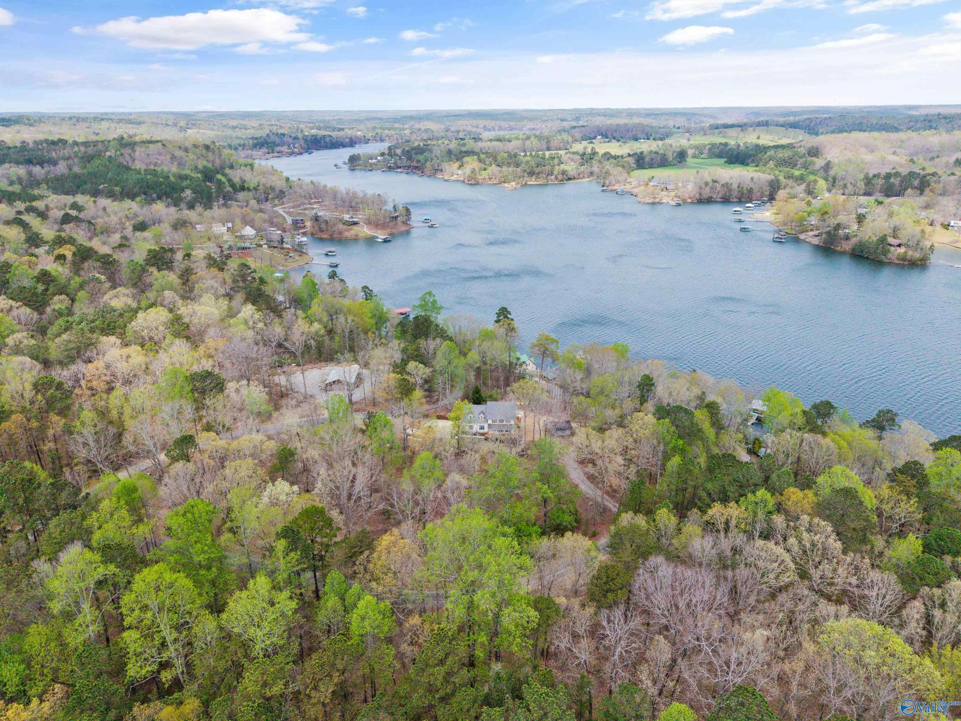 190 County Road 3933, Arley, Alabama image 4