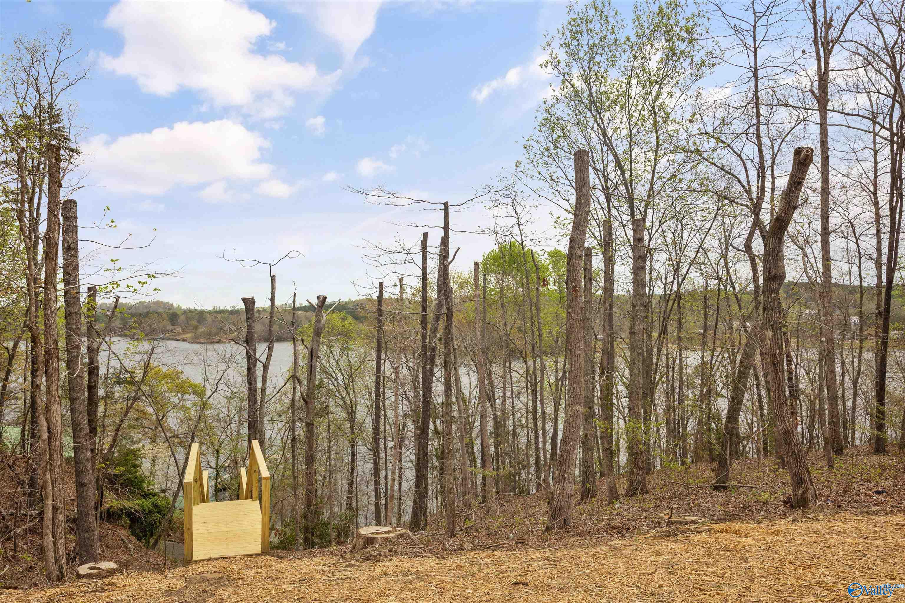 190 County Road 3933, Arley, Alabama image 32