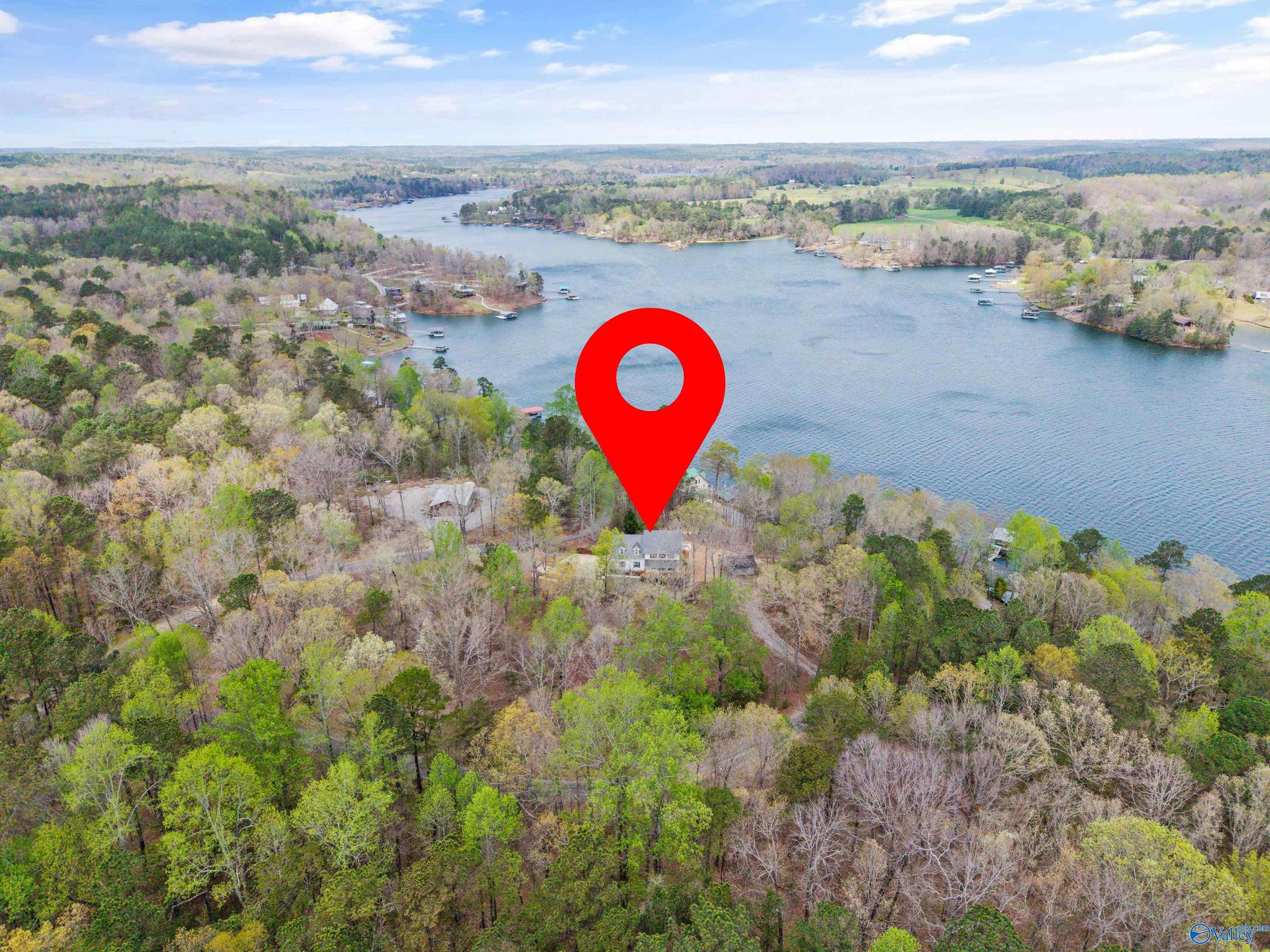 190 County Road 3933, Arley, Alabama image 43