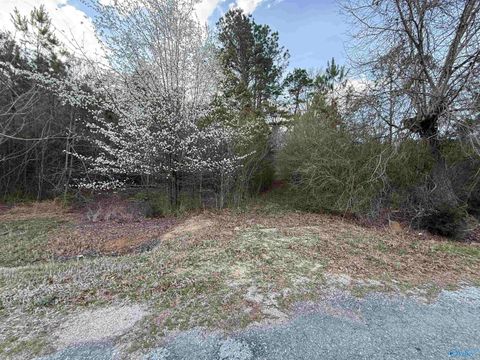 Vacant Land For Sale - 2113 Buster Willett Road<br/> Etowah County, Attalla, AL 35954