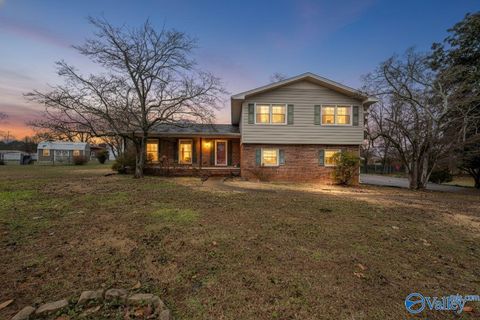 Photo of 1808 Garner Street, Scottsboro, AL 35769 (MLS # 21909911)