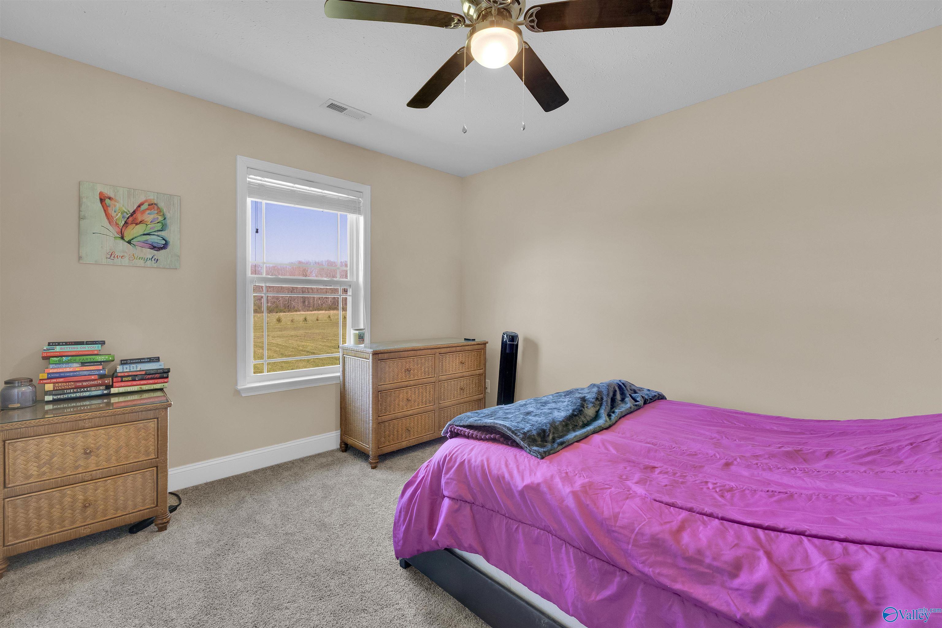 173 County Road 261, Fort Payne, Alabama image 12