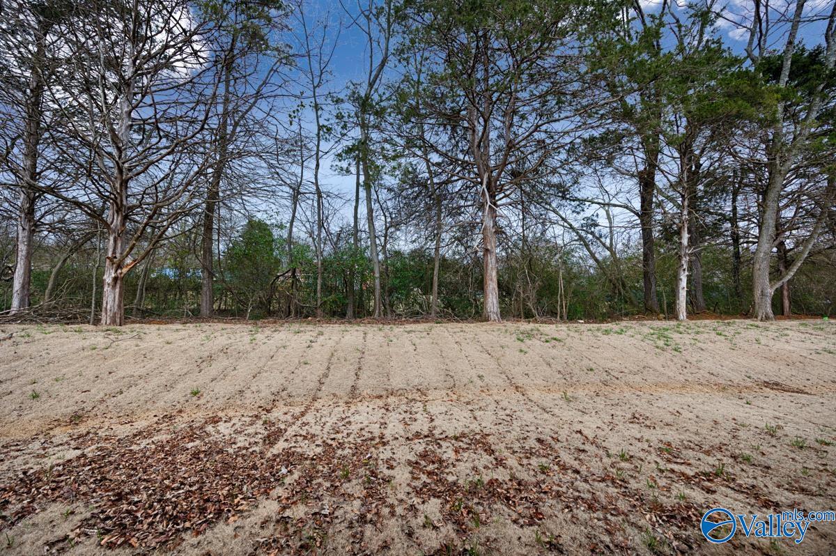 206 Blairwood Court, Meridianville, Alabama image 2