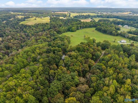 Homes For Sale - 13.2 ACRES Aunt Ann Hill Road<br/> Lester, AL 35647