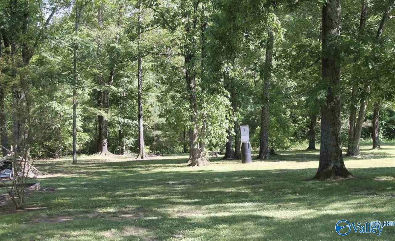 2049 Ewing Avenue, Gadsden, Alabama image 16