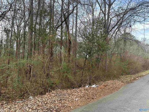 Vacant Land For Sale - 611 Greenwood Avenue<br/> Etowah County, Gadsden, AL 35903
