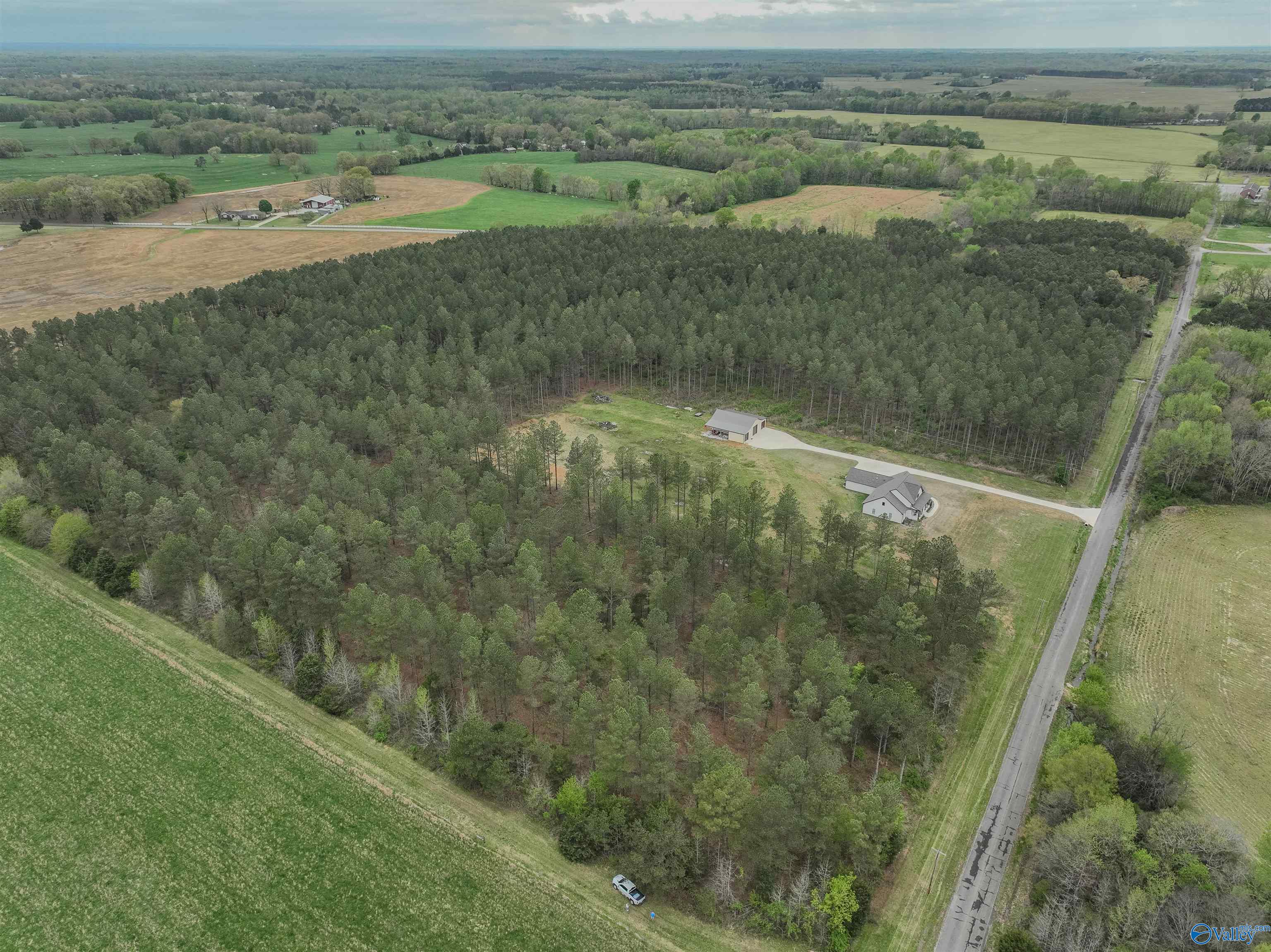 45 Acres County Road 497, Lexington, Alabama image 2