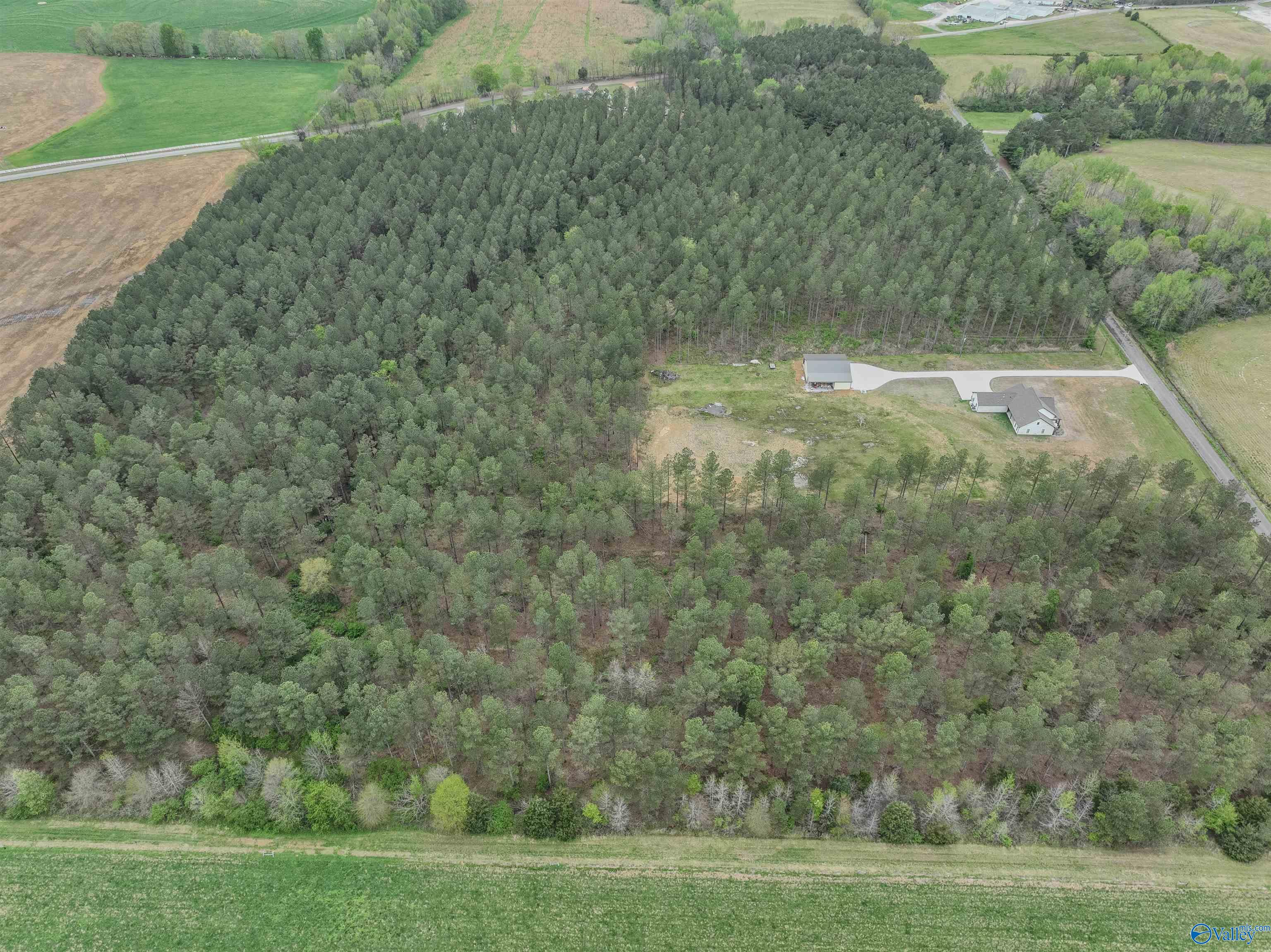 45 Acres County Road 497, Lexington, Alabama image 3