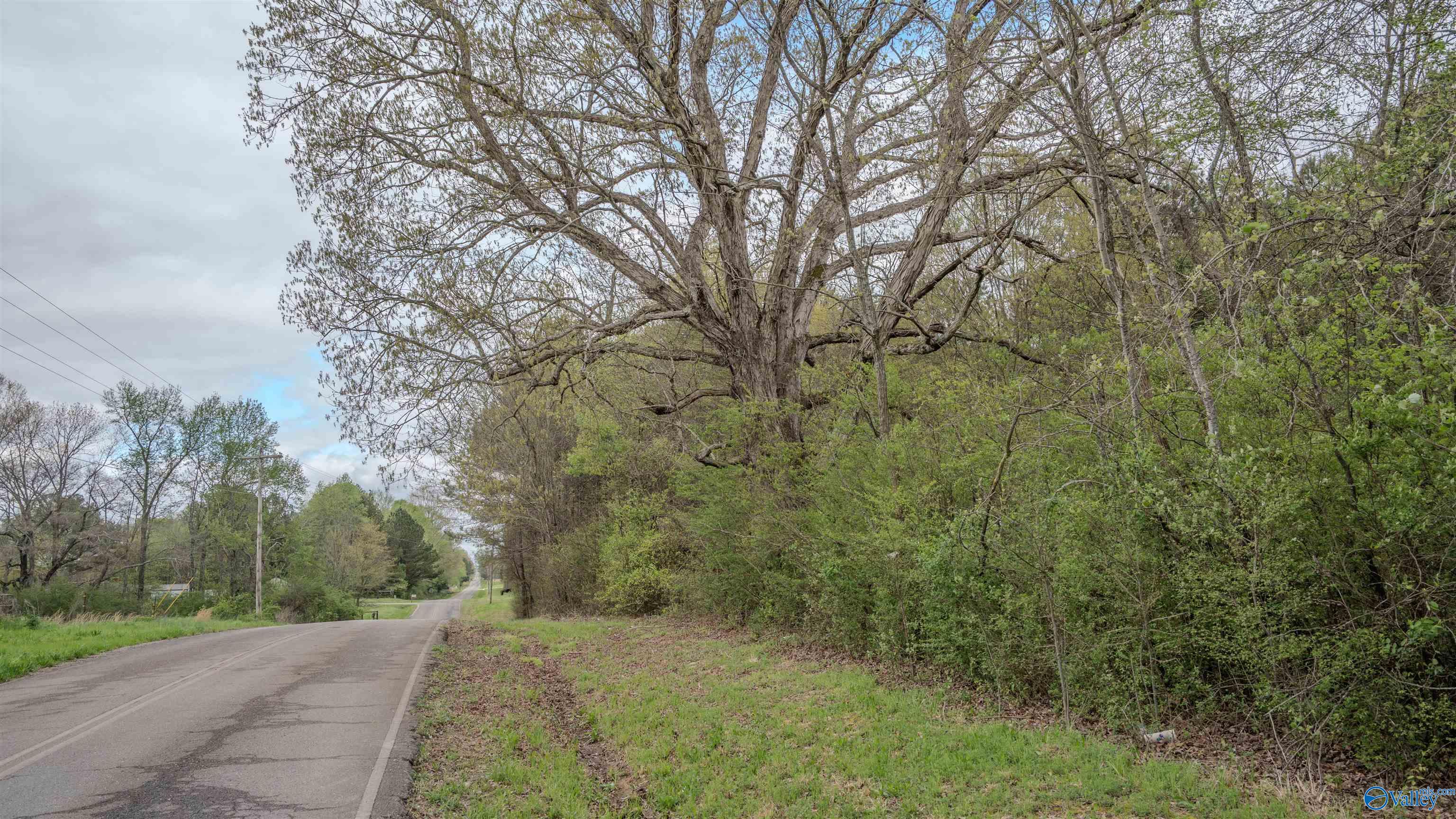 45 Acres County Road 497, Lexington, Alabama image 18