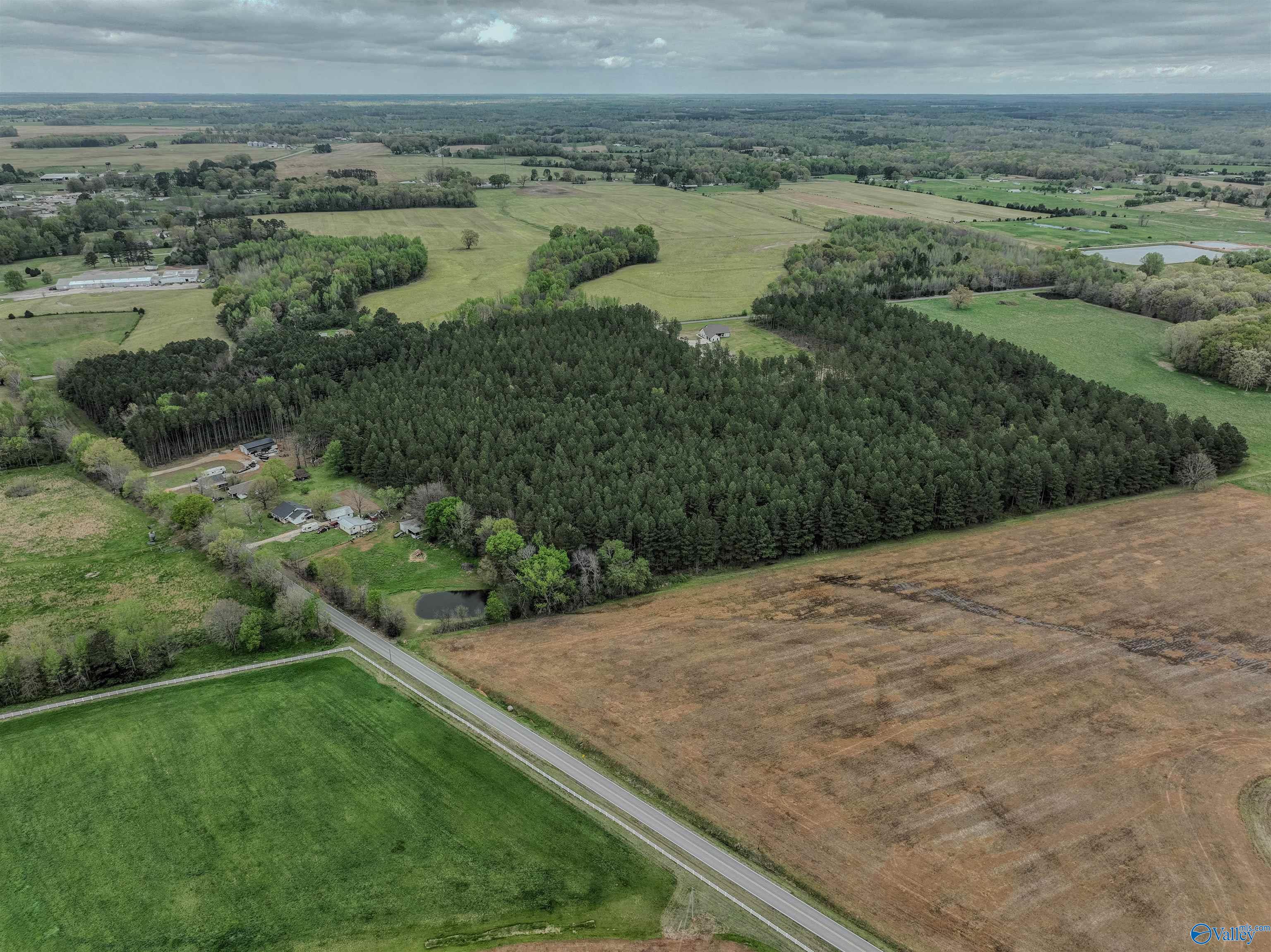 45 Acres County Road 497, Lexington, Alabama image 5