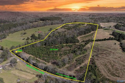 Vacant Land For Sale - 01 Seven Bark Lane<br/> Oneonta, AL 35121