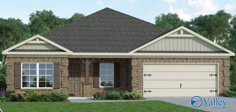 14207 Water Stream Drive Harvest AL 35749