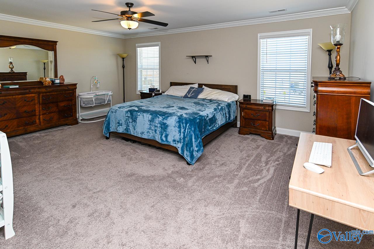 129 Berry Farm Road, Meridianville, Alabama image 23