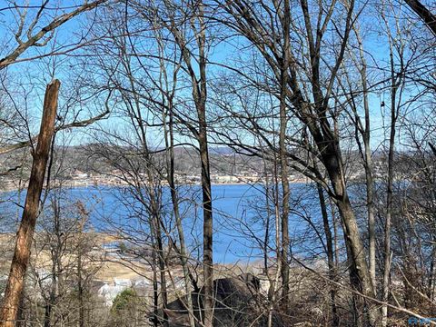 Vacant Land For Sale - 14 AC Jackson Trail<br/> Guntersville, AL 35976