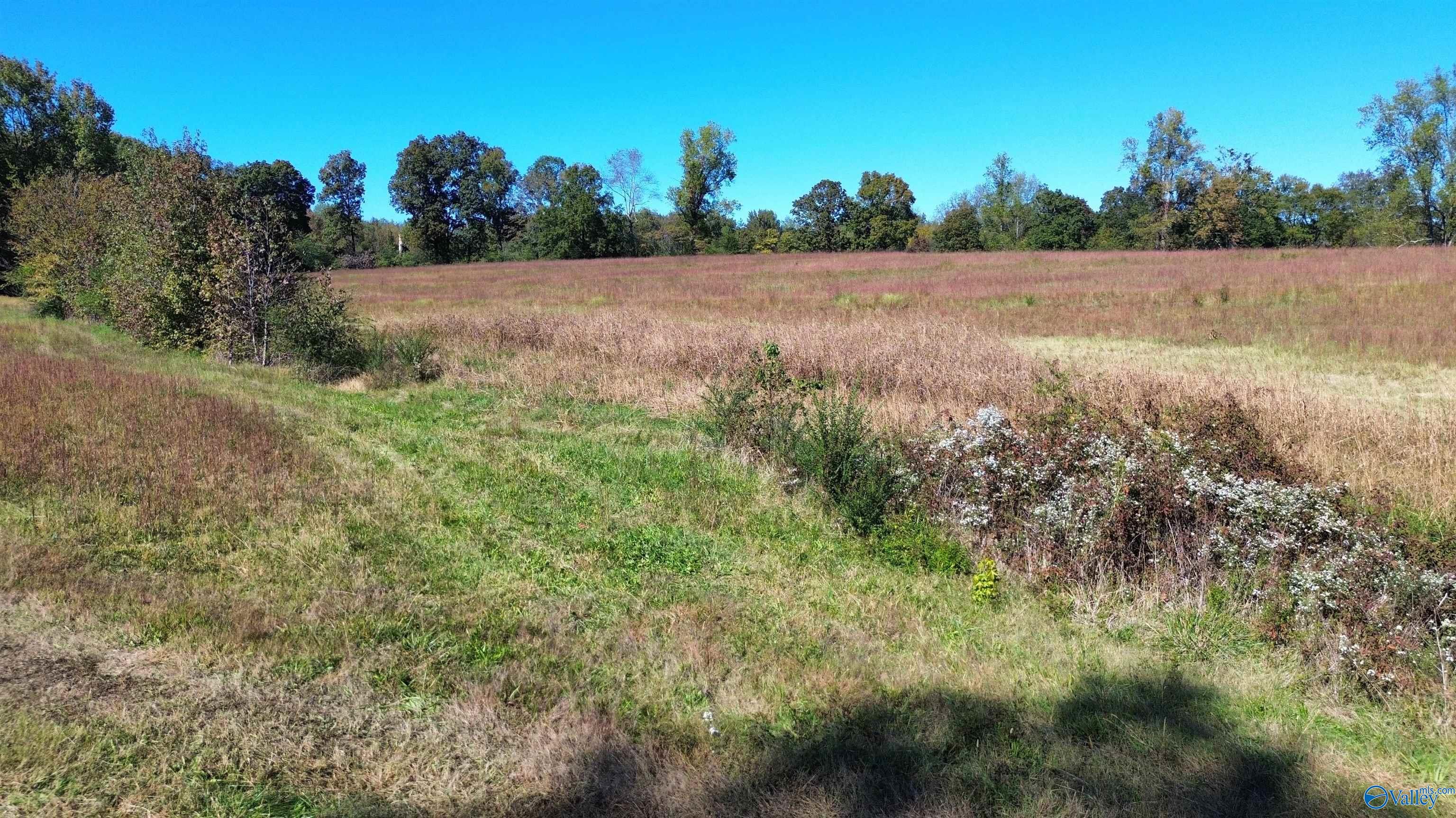 004 Upper Snake Road, Athens, Alabama image 9