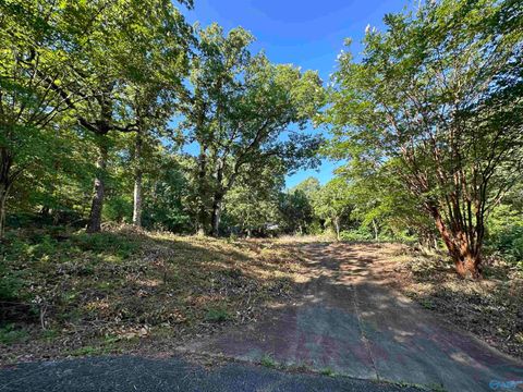 Vacant Land For Sale - 101 Oak Place<br/> Etowah County, Gadsden, AL 35901