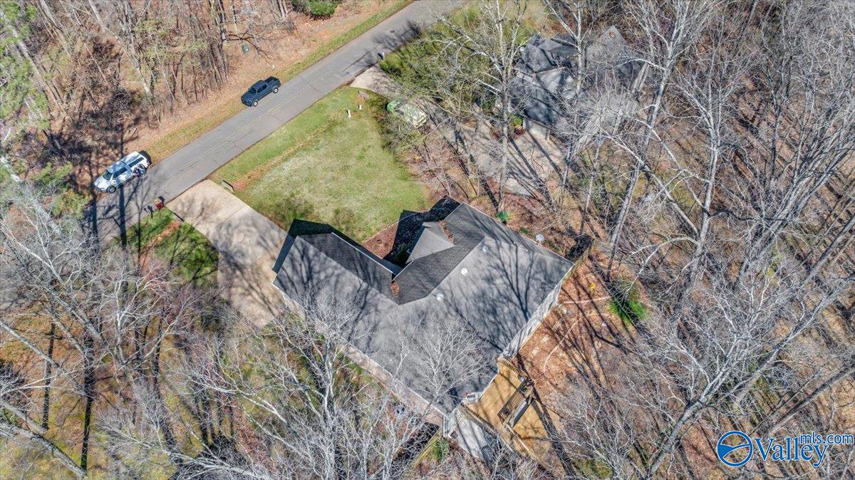 24434 Hickory Drive, Elkmont, Alabama image 50