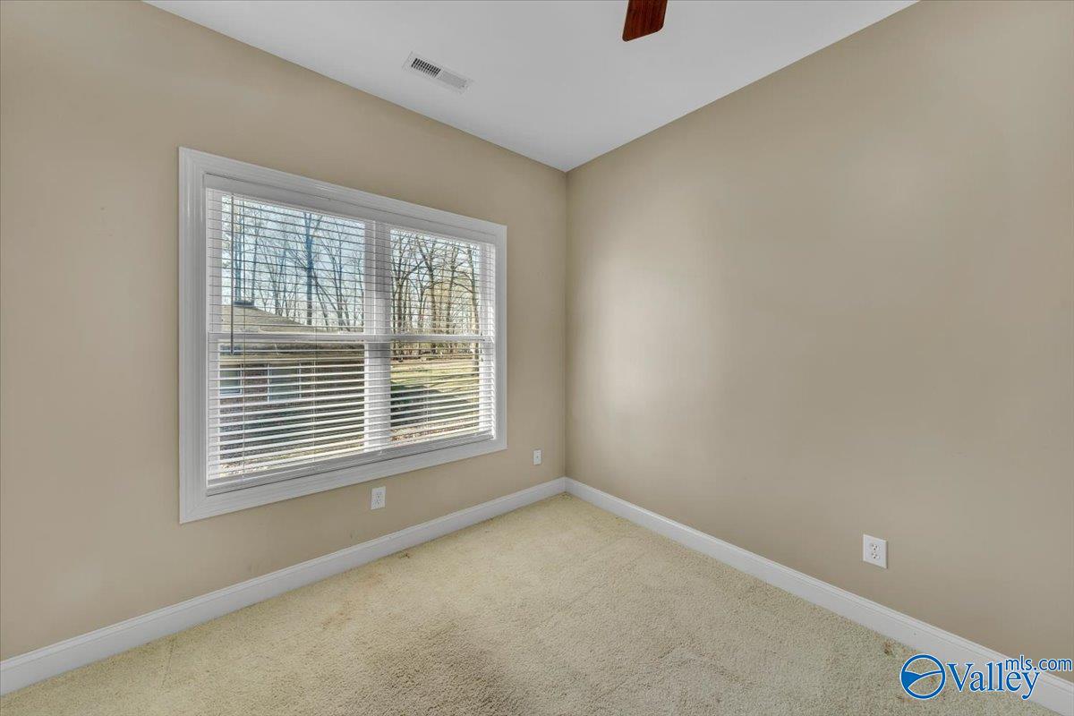 24434 Hickory Drive, Elkmont, Alabama image 37