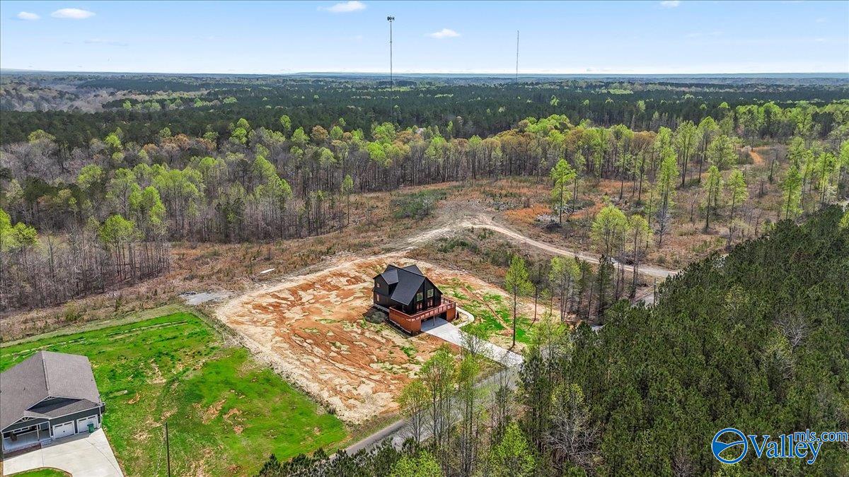 400 County Road 41, Bremen, Alabama image 46