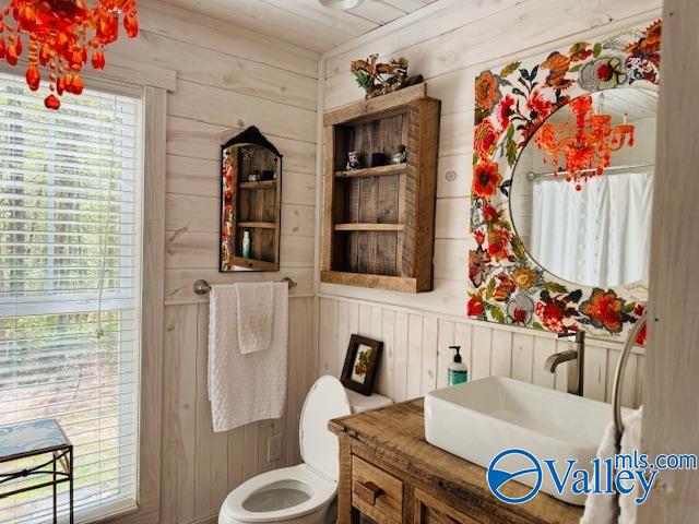 17466 County Road 89, Mentone, Alabama image 25