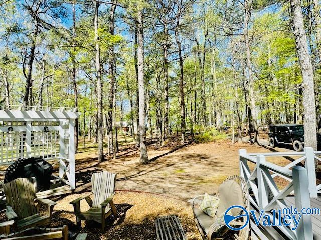 17466 County Road 89, Mentone, Alabama image 40