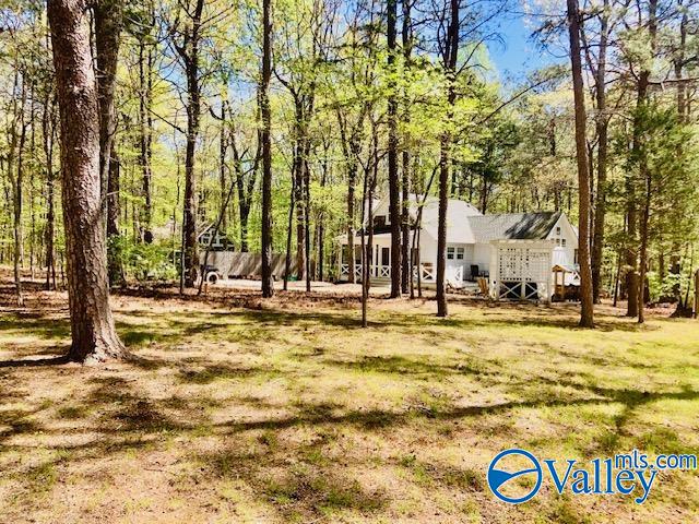 17466 County Road 89, Mentone, Alabama image 42