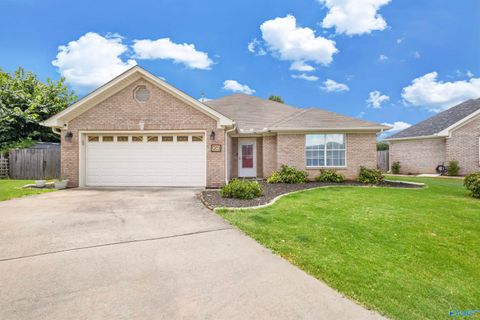 Homes For Sale - 1203 Palisade Court<br/> Morgan County, Decatur, AL 35603