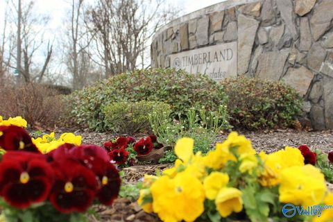 Vacant Land For Sale - 3729 Timberlake Court<br/> Morgan County, Decatur, AL 35603