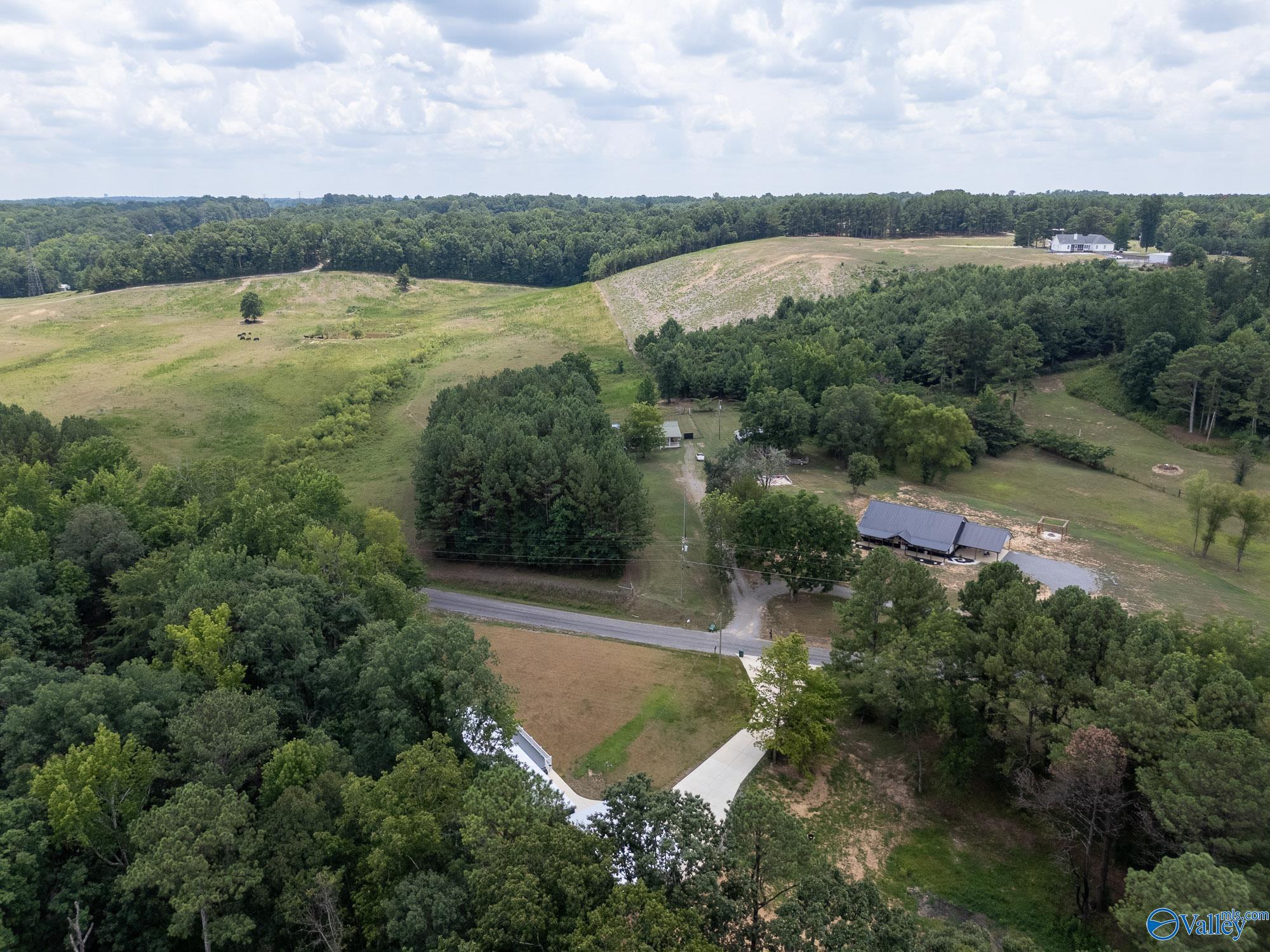 260 County Road 1219, Falkville, Alabama image 27