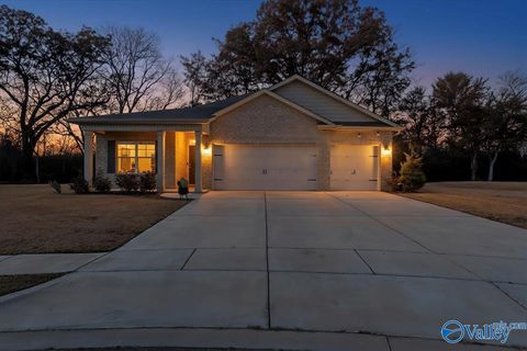 Homes For Sale - 128 Canonbury Drive<br/> New Market, AL 35761