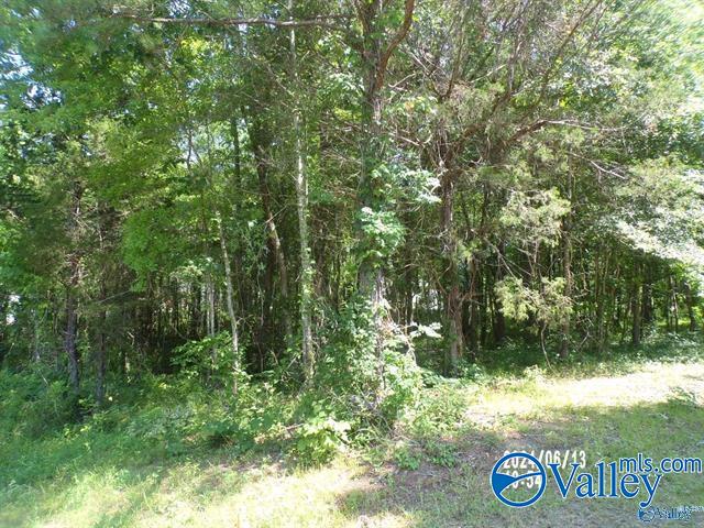 .44 Ac Hackberry Circle, Hokes Bluff, Alabama image 1