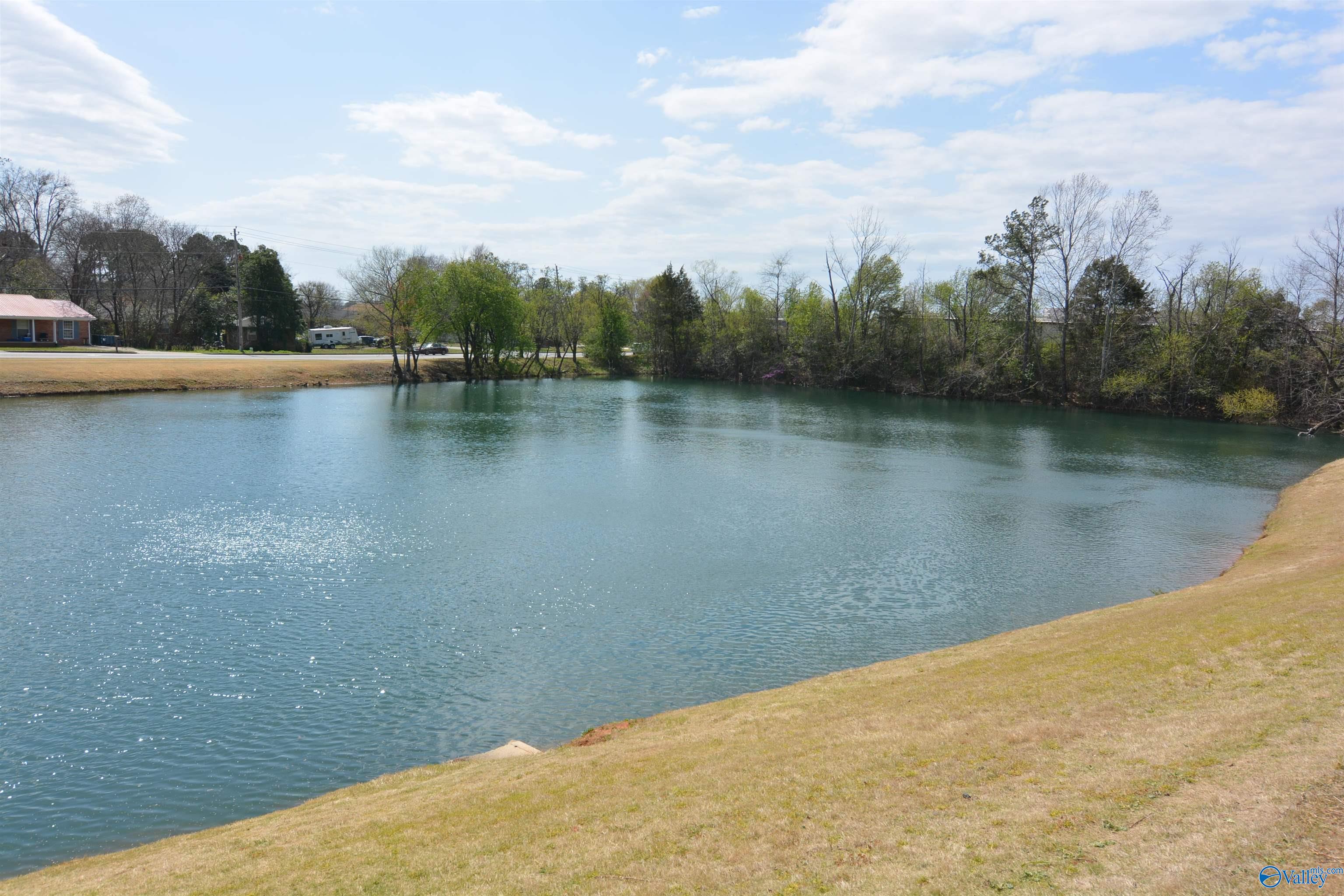 343 Waters Edge Lane, Madison, Alabama image 2