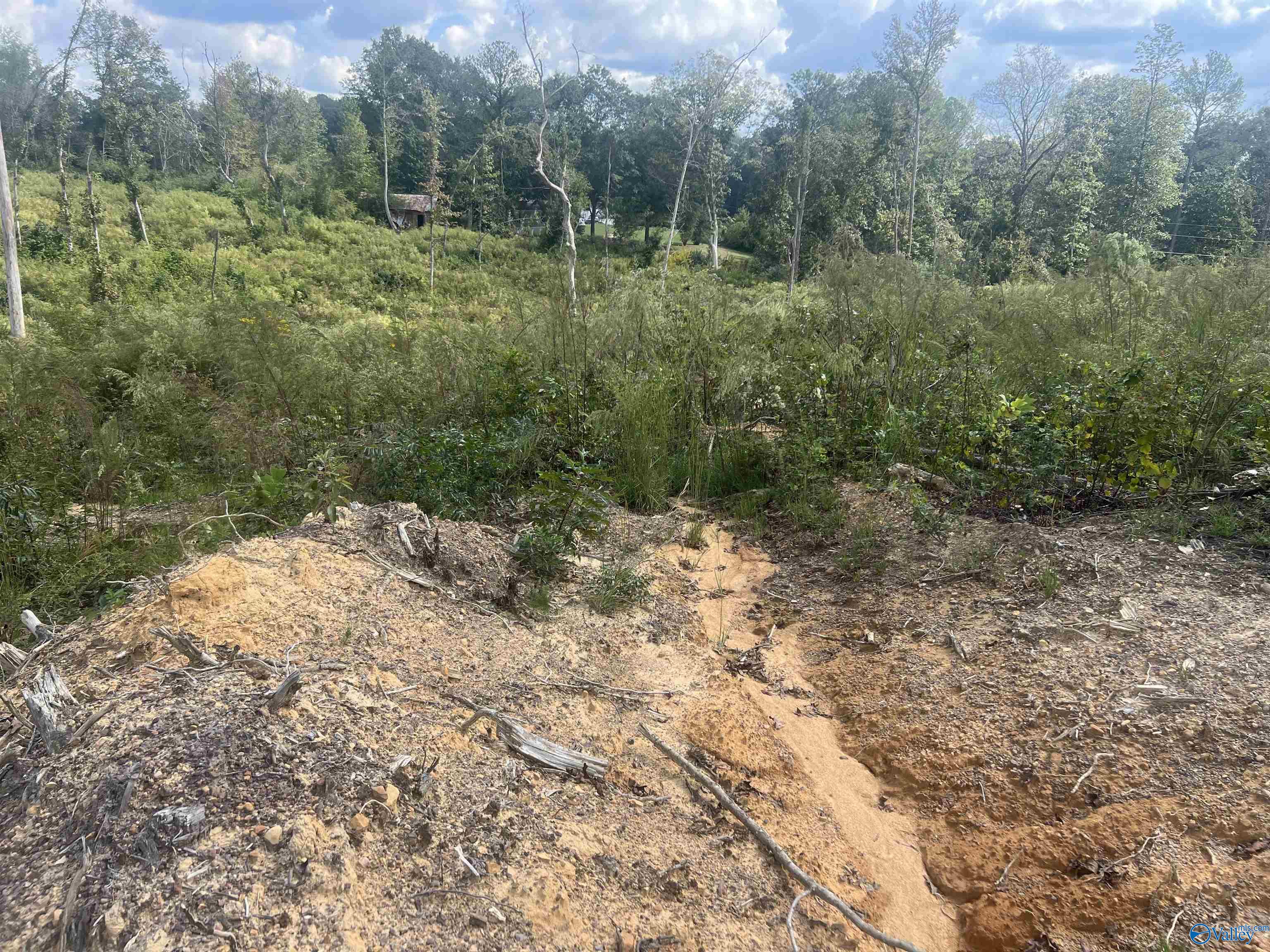 15ac County Road 700, Cullman, Alabama image 5