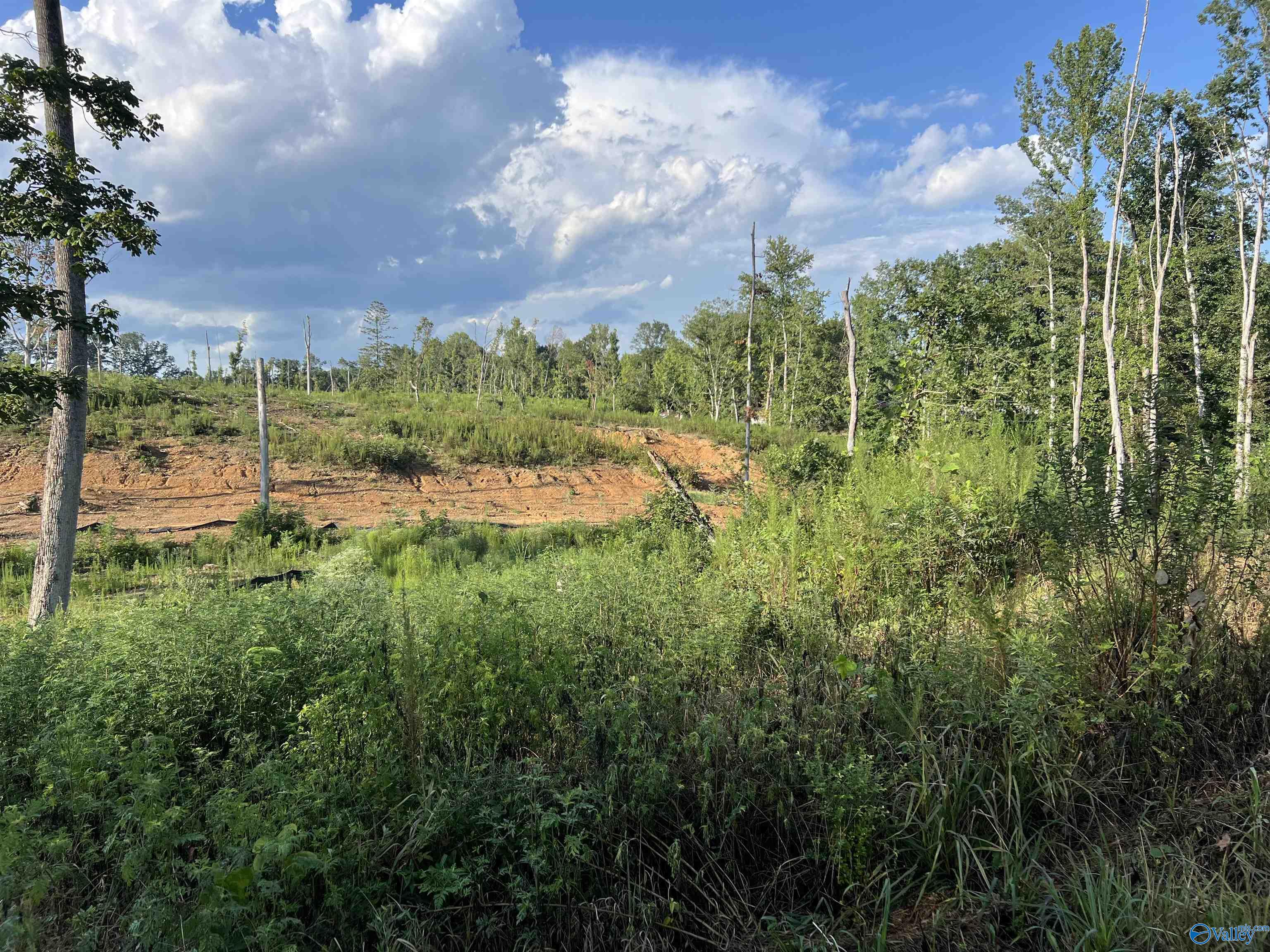 15ac County Road 700, Cullman, Alabama image 4