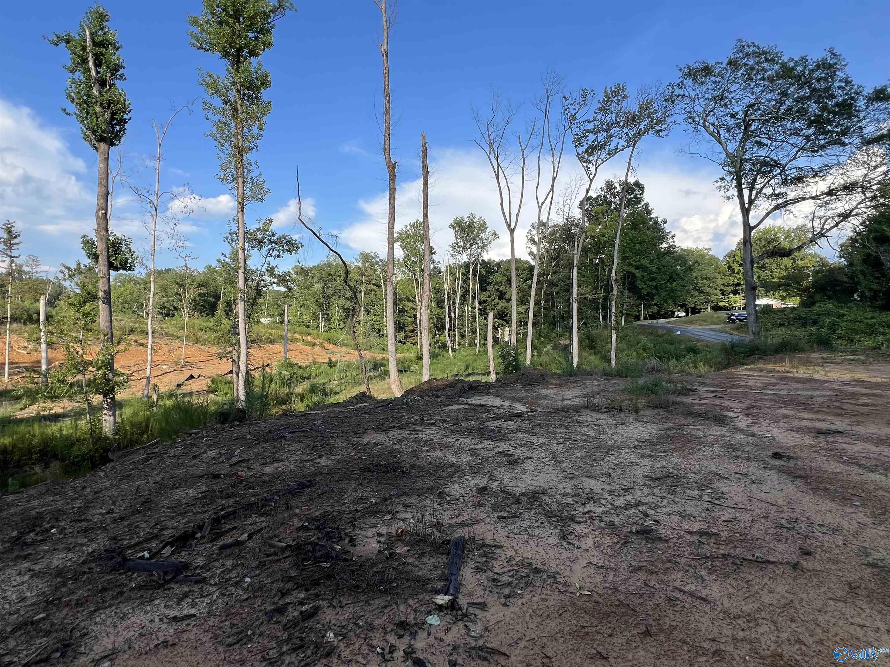 15ac County Road 700, Cullman, Alabama image 9