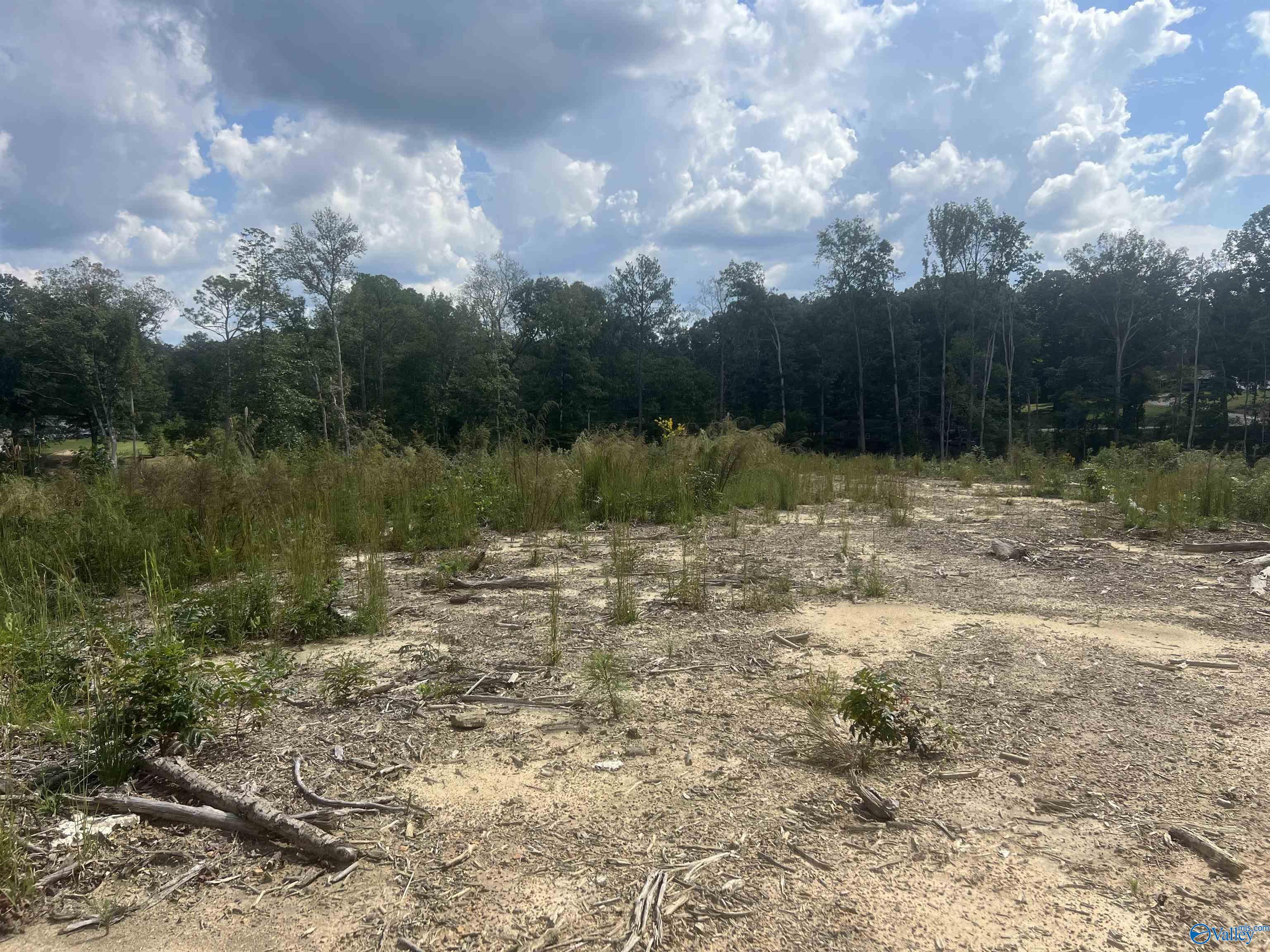 15ac County Road 700, Cullman, Alabama image 3
