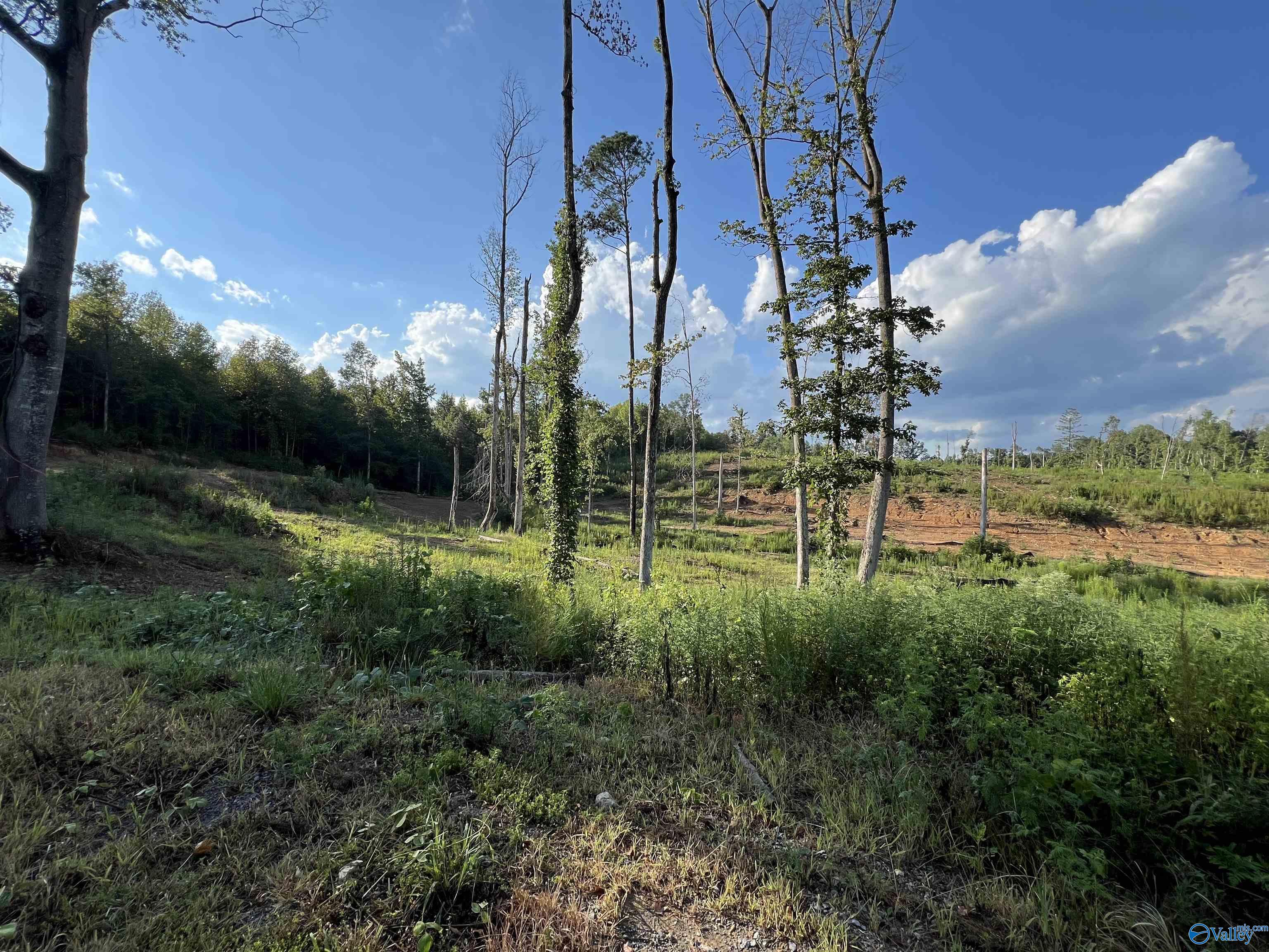 15ac County Road 700, Cullman, Alabama image 12