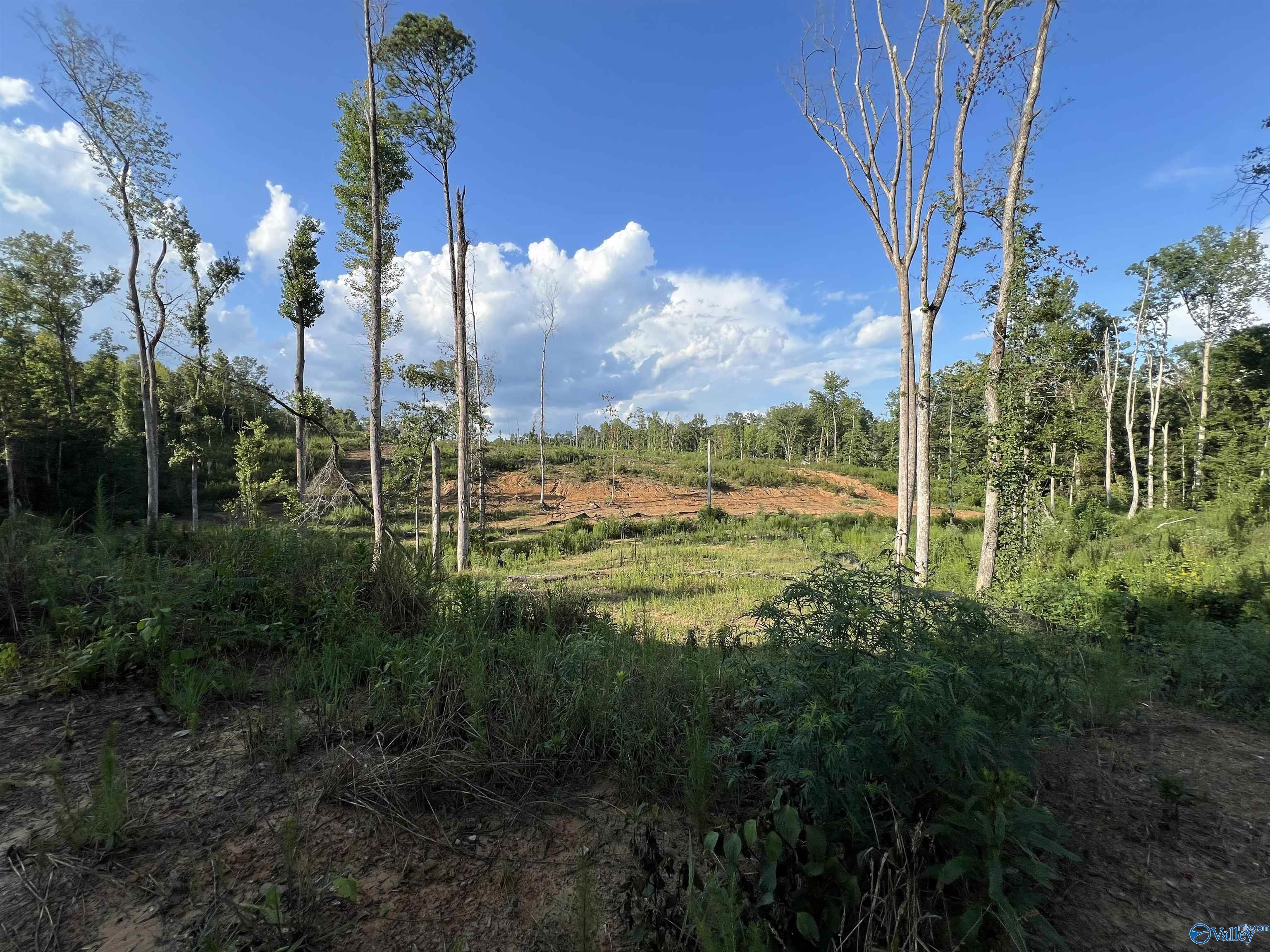 15ac County Road 700, Cullman, Alabama image 10