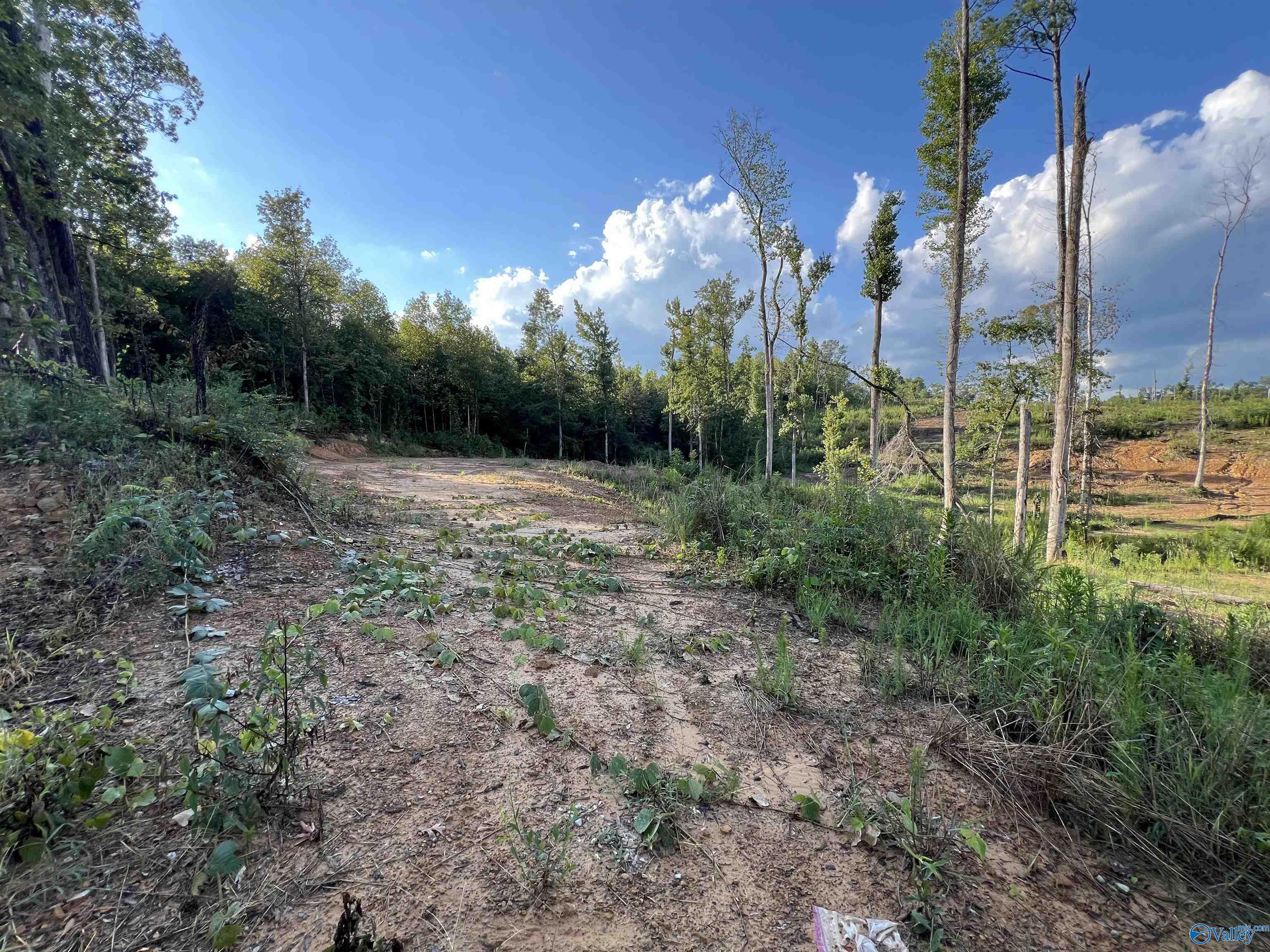 15ac County Road 700, Cullman, Alabama image 1