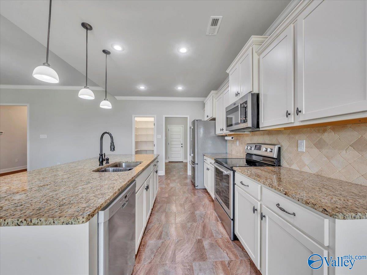 16057 Glenncrest Lane, Harvest, Alabama image 12
