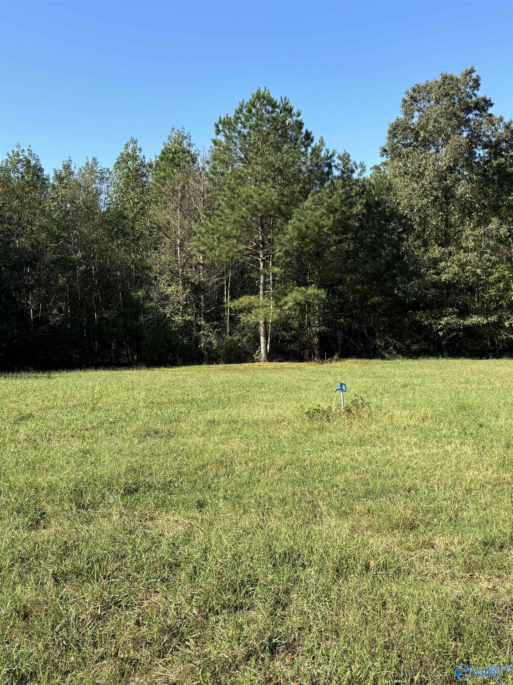 654 Beaver Dam Road, Toney, Alabama image 4