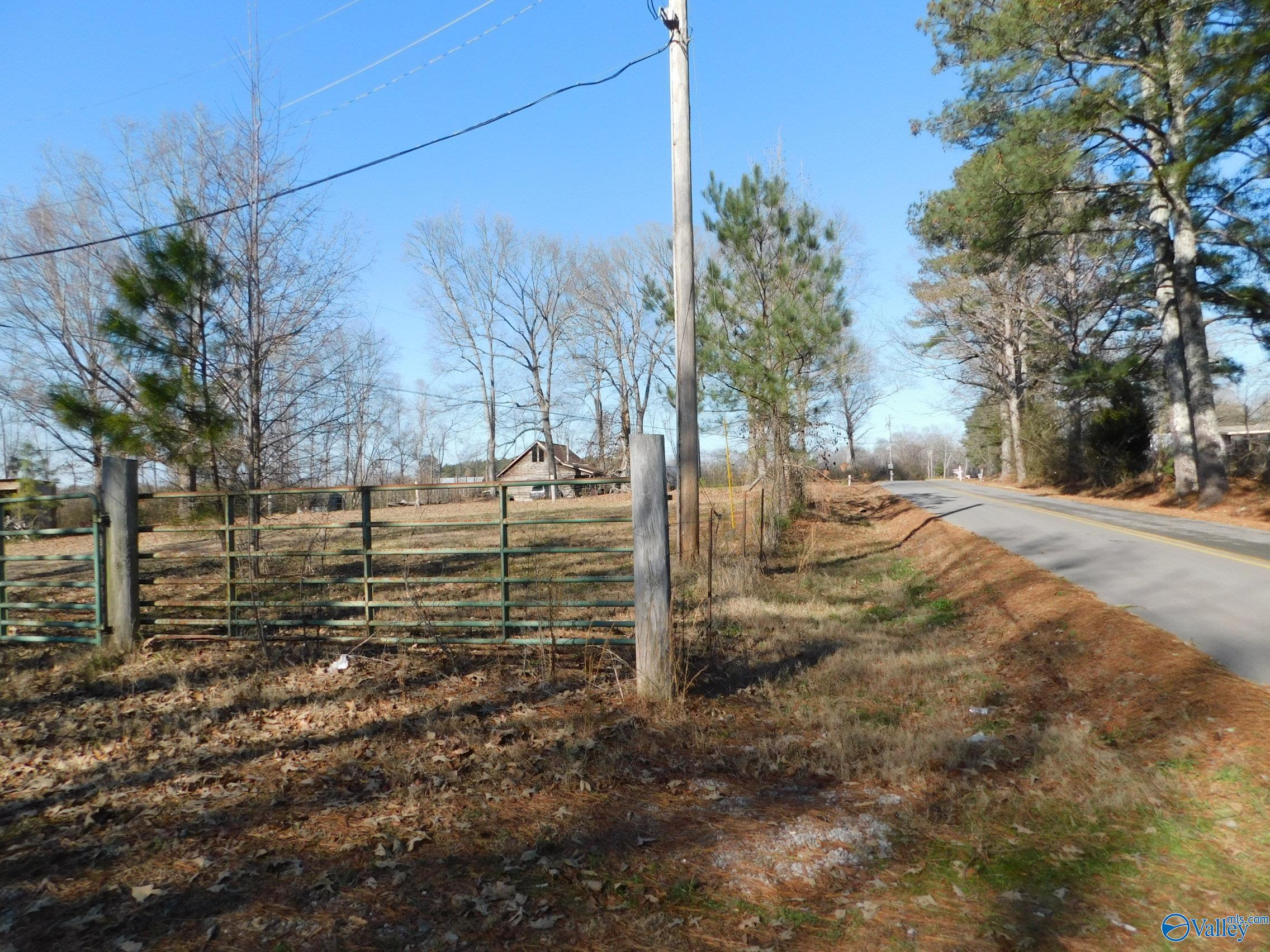 2825 County Road 1428, Eva, Alabama image 8