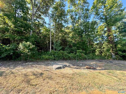 Vacant Land For Sale - 12 Selma Street<br/> Decatur, AL 35603