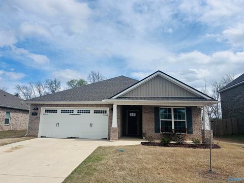 Photo of 135 Ivy Vine Drive, Toney, AL 35773 (MLS # 21912382)