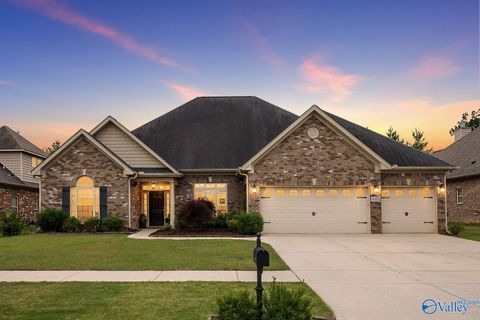 Photo of 4412 SE Coatsbridge Drive, Owens Cross Roads, AL 35763 (MLS # 21916948)