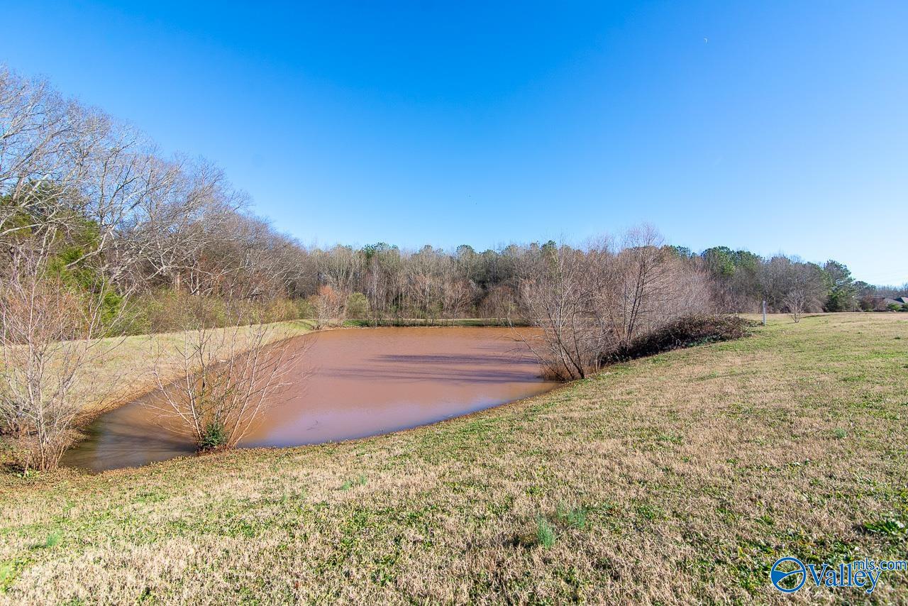 212 Falling Water Lane, Madison, Alabama image 8