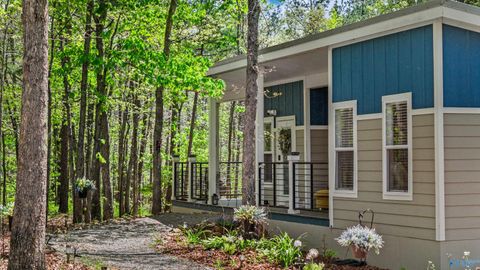 Homes For Sale - 656 County Road 642<br/> Mentone, AL 35984