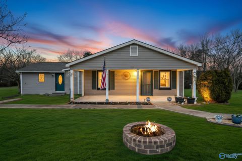 Photo of 2671 County Road 358, Trinity, AL 35673 (MLS # 21911825)